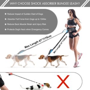 Hands Free Leash for Dogs