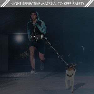 Rechargeable Light on Retractable Leash