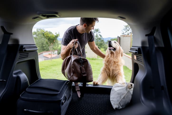 A man stands outside the open trunk of a car, holding bags and petting a happy golden retriever with its front paws up on the bumper, showing off healthy paw pads. Suitcases and a duffel bag are visible inside the trunk.