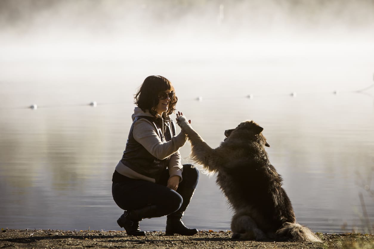 Young woman high fives her half wolf dog.