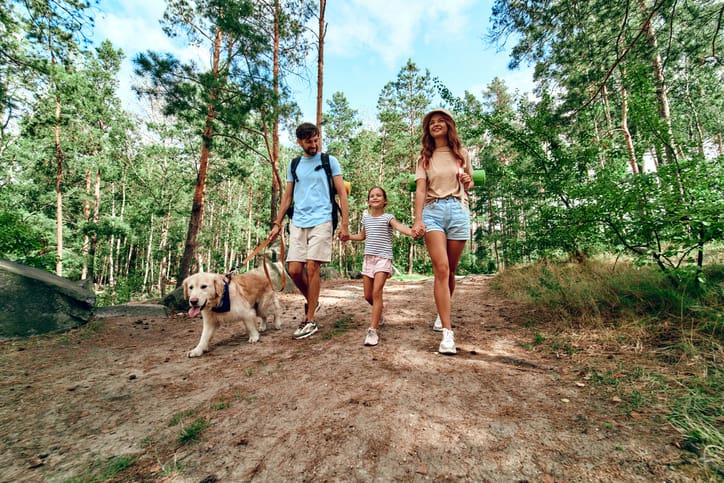 A family of three and a golden retriever stroll together on a forest trail. The parents hold hands with their smiling daughter. Sunlight filters through tall trees, creating a peaceful setting perfect for exploring and supporting your dogs paw health.