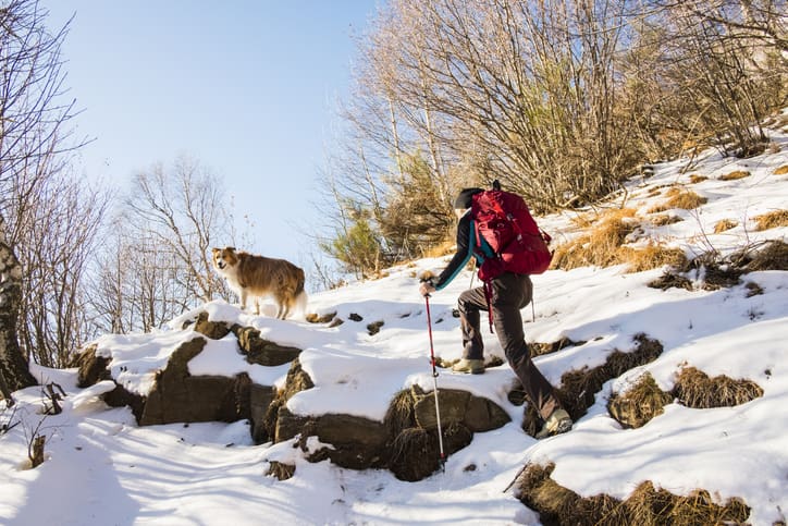 A person with a red backpack hikes up a snowy, rocky hill using trekking poles, while a dog stands on a rock ahead, looking back—reminding hikers to be mindful of pet water intake and potential water intoxication during outdoor adventures.