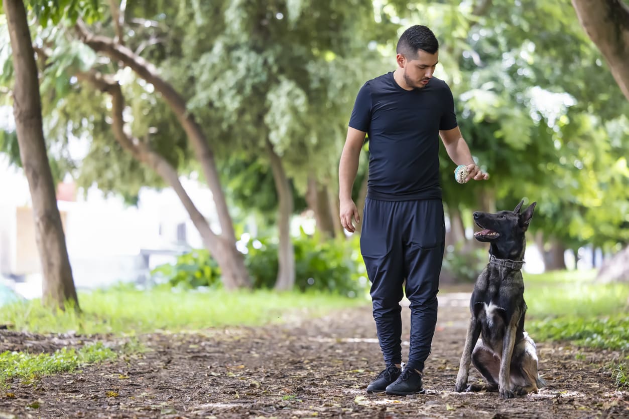 A man dressed in black athletic clothing holds a tennis ball while standing on a dirt path in a park, looking down at his German Shepherd. As they enjoy the outdoors, he considers airline pet policies for flying with dogs on their next adventure. Trees and greenery surround them.