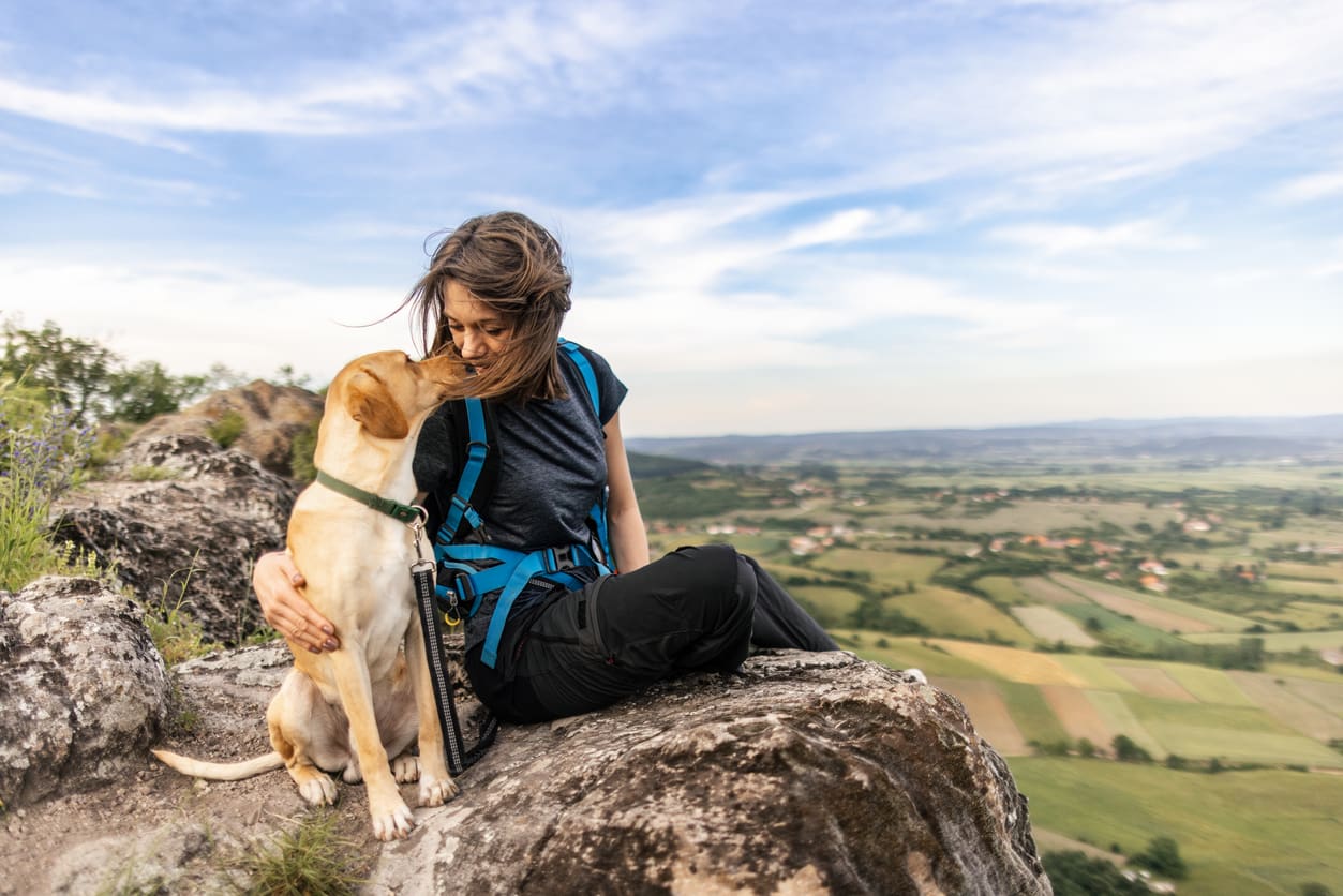 A woman sits on a rocky ledge overlooking a scenic valley, hugging her yellow Labrador dog. They touch noses affectionately, enjoying the open countryside—a peaceful escape from worries like airline pet policies and flying with dogs.