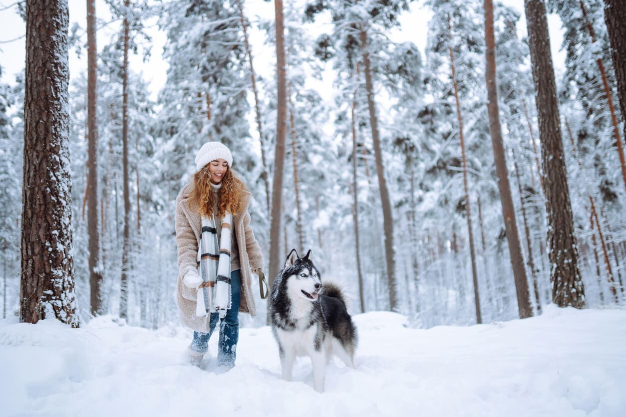 A woman in a winter coat and hat smiles while walking with a Siberian Husky through a snowy winter forest surrounded by tall trees.
