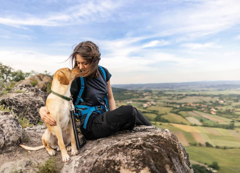 A woman sits on a rocky ledge with her yellow Labrador puppy, sharing a close moment. Vast green fields and a blue sky stretch out behind them—a perfect day for hiking with dogs in heat, always mindful of safe hiking temperatures for pups.