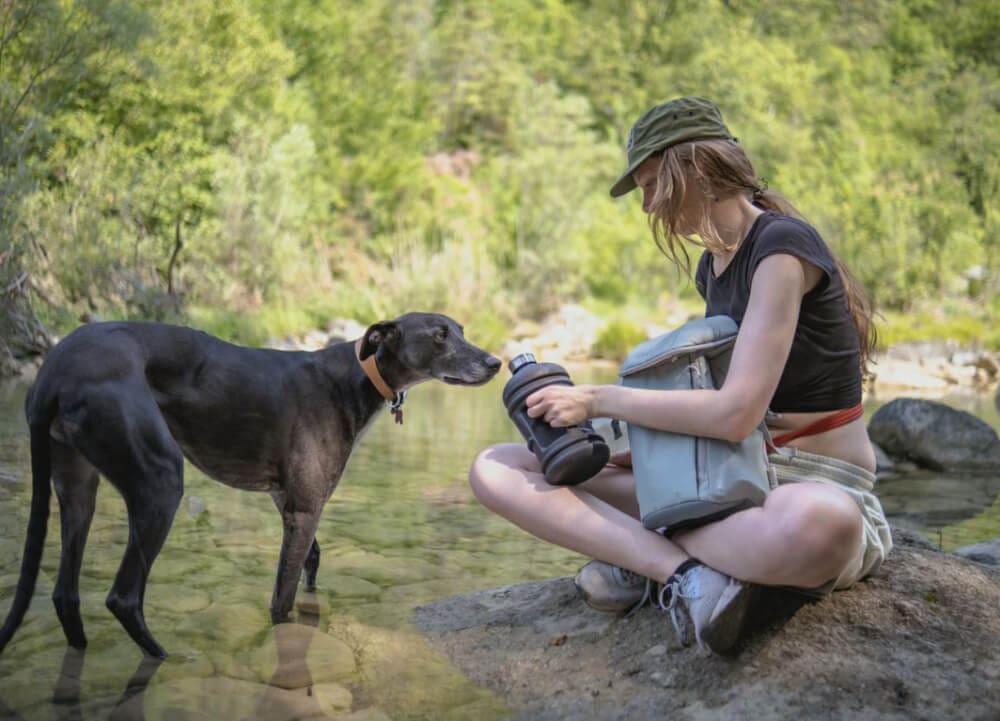 A woman sits on a rock by a shallow stream, offering water from a bottle to a black dog standing in the water—a mindful pause when hot weather hiking with dogs, surrounded by greenery and bathed in natural light.