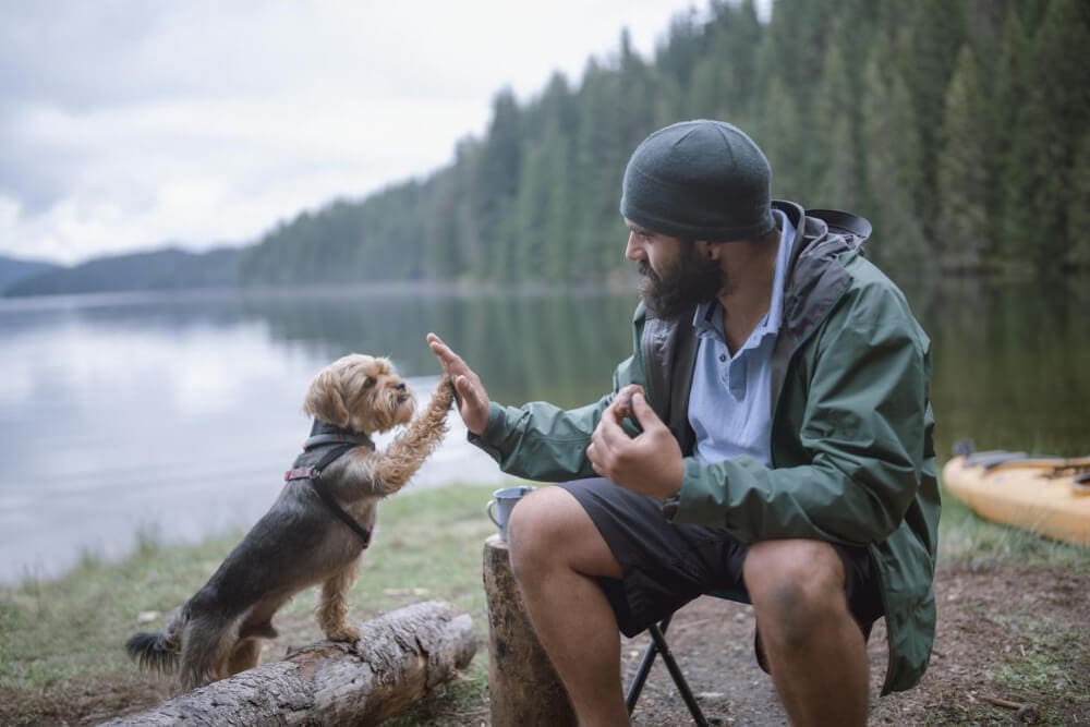A man sitting by a lakeside gives a high-five to his adventure dog standing on a log. Trees and a yellow kayak are in the background under an overcast sky, perfect for those who love dog-friendly travel.
