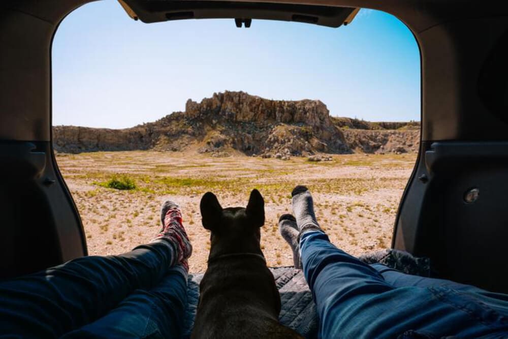 View from inside a vehicle showing two people’s legs in colorful socks and a dog between them, all looking out at a rocky desert landscape—perfect inspiration for adventure dogs exploring the top 10 national parks under a clear blue sky.
