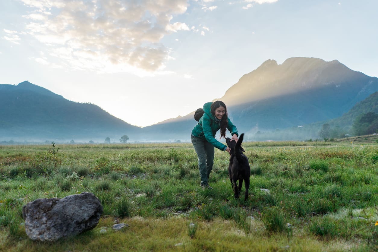 A woman in a green jacket plays with a black dog in a grassy field at sunrise, the misty mountains behind them capturing the spirit of pet travel safety and adventure under a sky dotted with clouds.