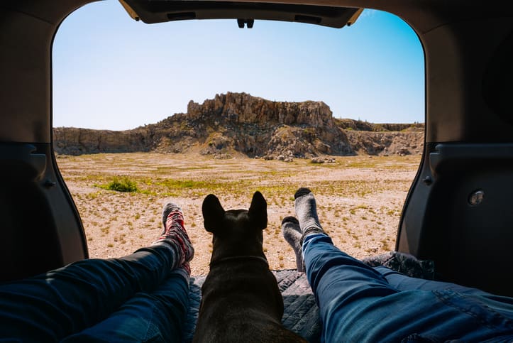 View from inside a car trunk showing two people’s legs in socks and a dog between them, looking out at a rocky, desert landscape—an inviting scene to remember the importance of dog paw care and protecting those precious paw pads.