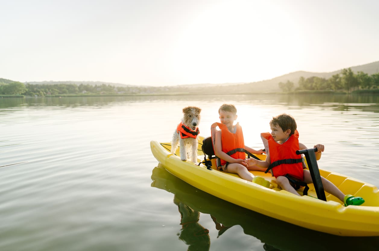 Two young boys in orange life jackets and a dog sit together on a yellow kayak on a calm lake, surrounded by hills and trees, enjoying sunny beach activities for dogs.