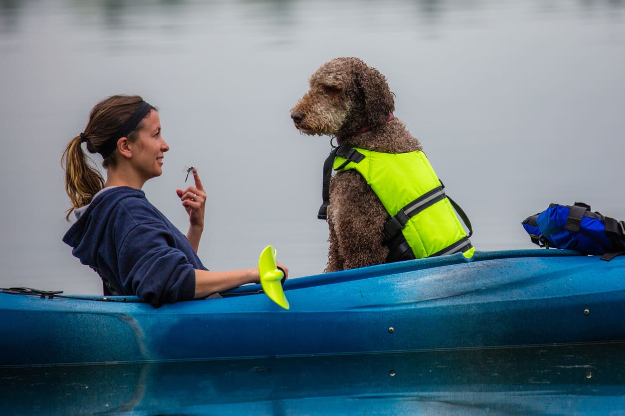 A woman sits in a blue kayak on calm water, smiling and holding a paddle, while a large brown dog wearing a bright yellow life jacket sits in front of her, showing perfect dog beach etiquette as he looks at her attentively.