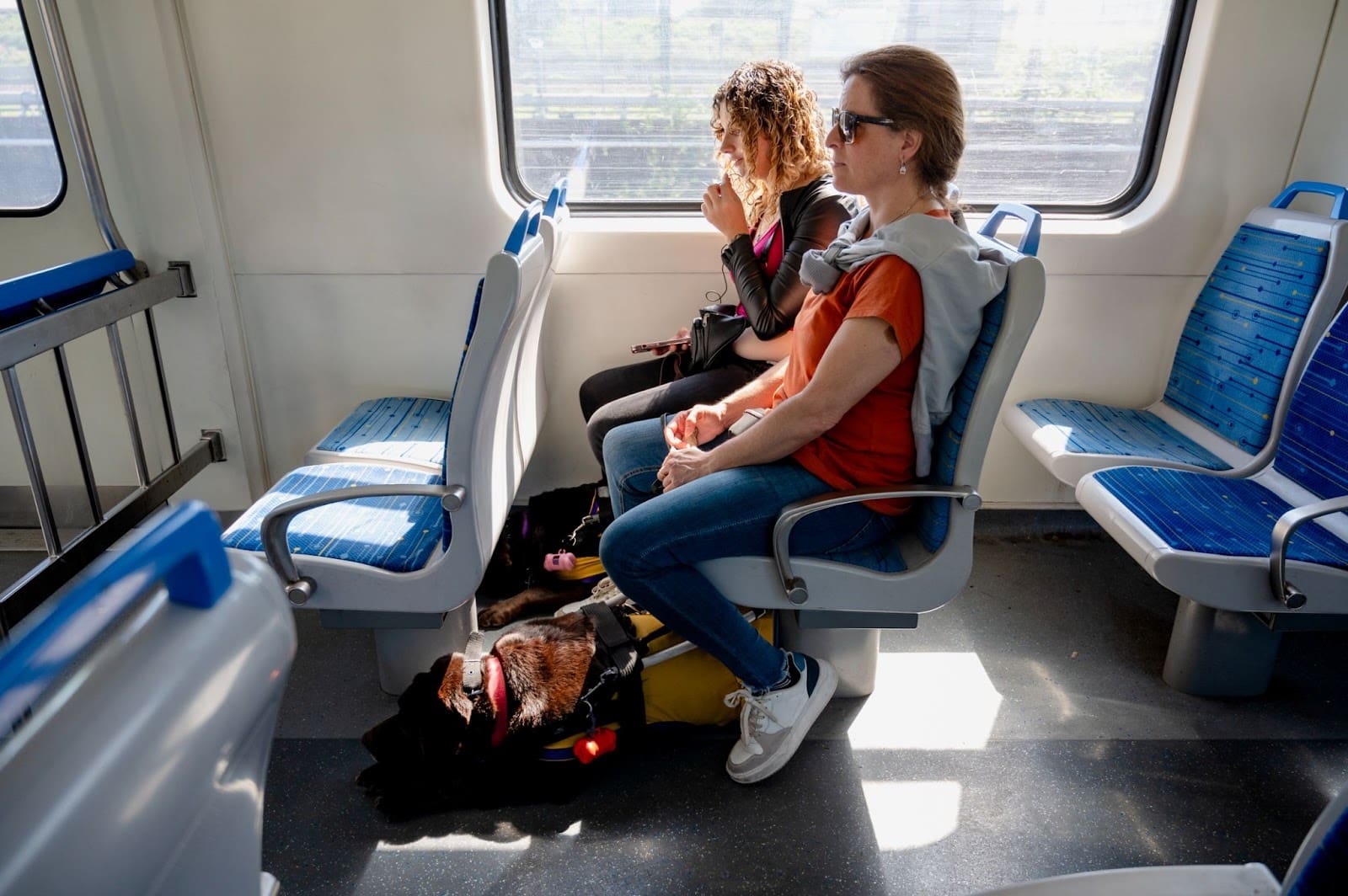 Two women sit side by side on a train, sunlight streaming in. A guide dog, enjoying the benefits of exercise for dogs, rests on a yellow mat at their feet. The blue seats and clean, bright interior create a peaceful travel scene.