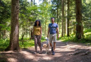 A couple walks their dog along a dirt path in a sunlit forest, surrounded by tall trees and greenery. Smiling, they watch for trail hazards like snakes, enjoying the outdoors while staying mindful of summer hiking dangers for dogs.