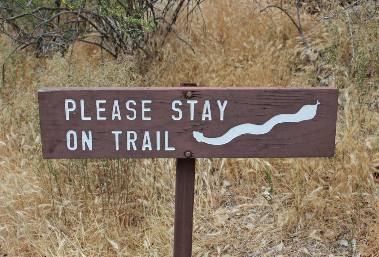 A wooden sign in a grassy area reads PLEASE STAY ON TRAIL with a white snake symbol underneath, warning hikers of trail hazards and summer hiking dangers for dogs like foxtails.
