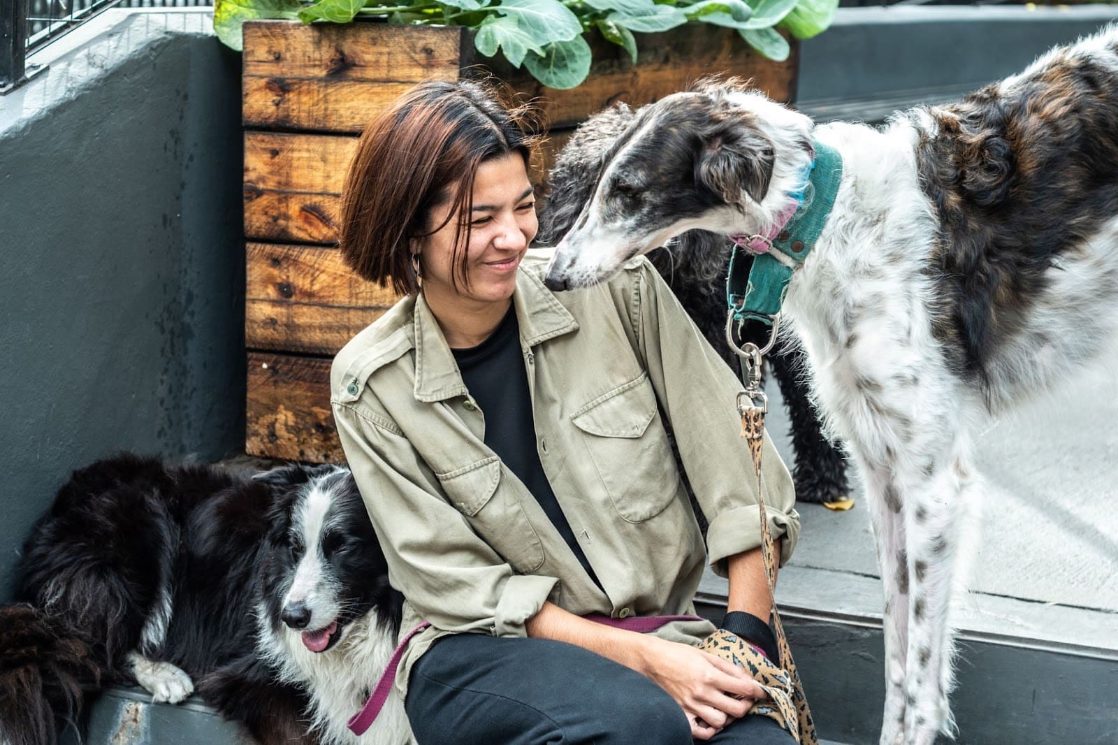 A person sitting outdoors, smiling while a tall, active dog sniffs their face and another dog rests nearby. There is a wooden planter with green plants in the background, highlighting the joy of an active dog lifestyle.