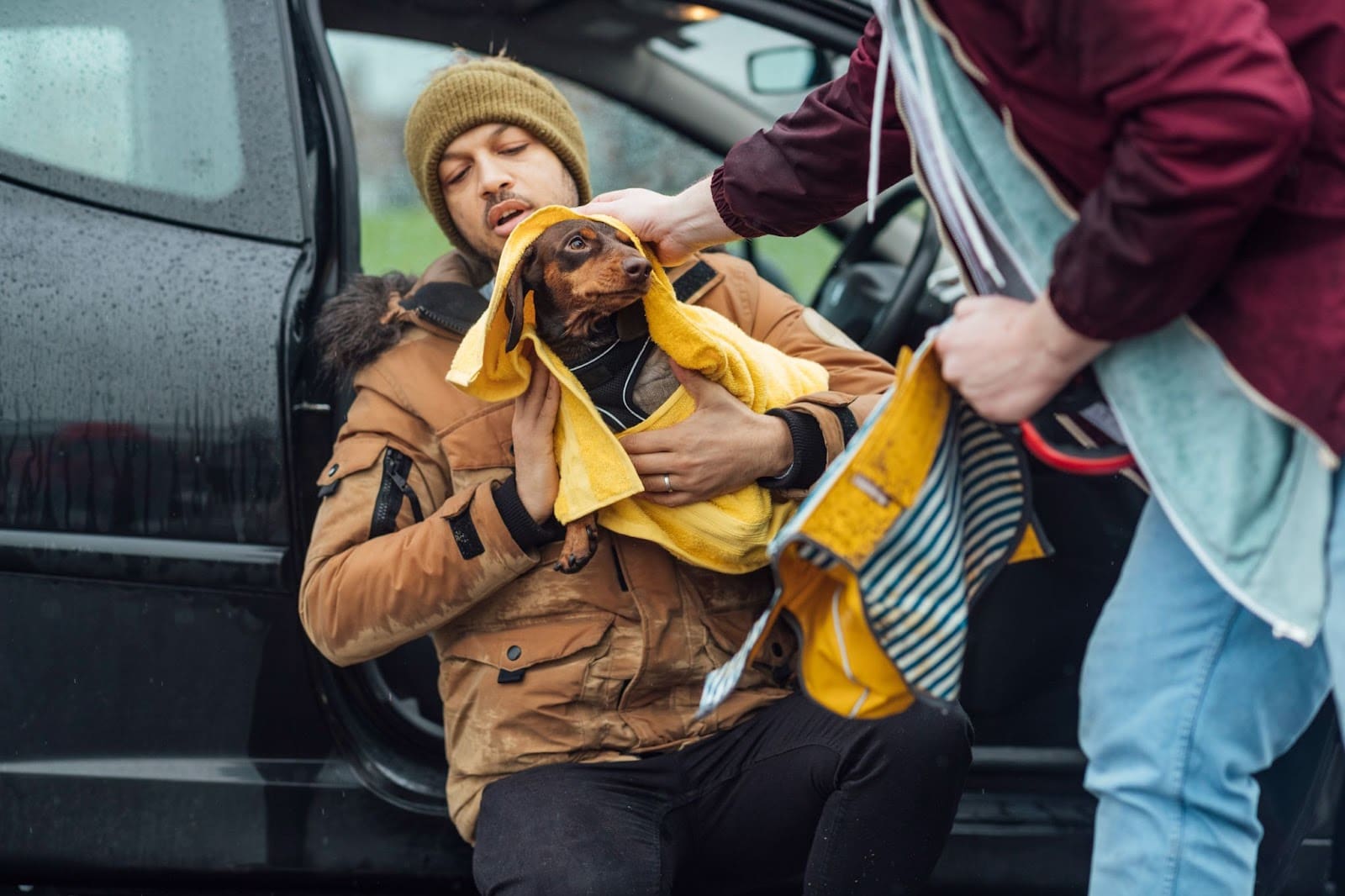 A man sitting in a car holds a small dog wrapped in a yellow towel, while another person helps dry the pup outside on a rainy day—perfect after exploring trail difficulty for dogs in wet weather.